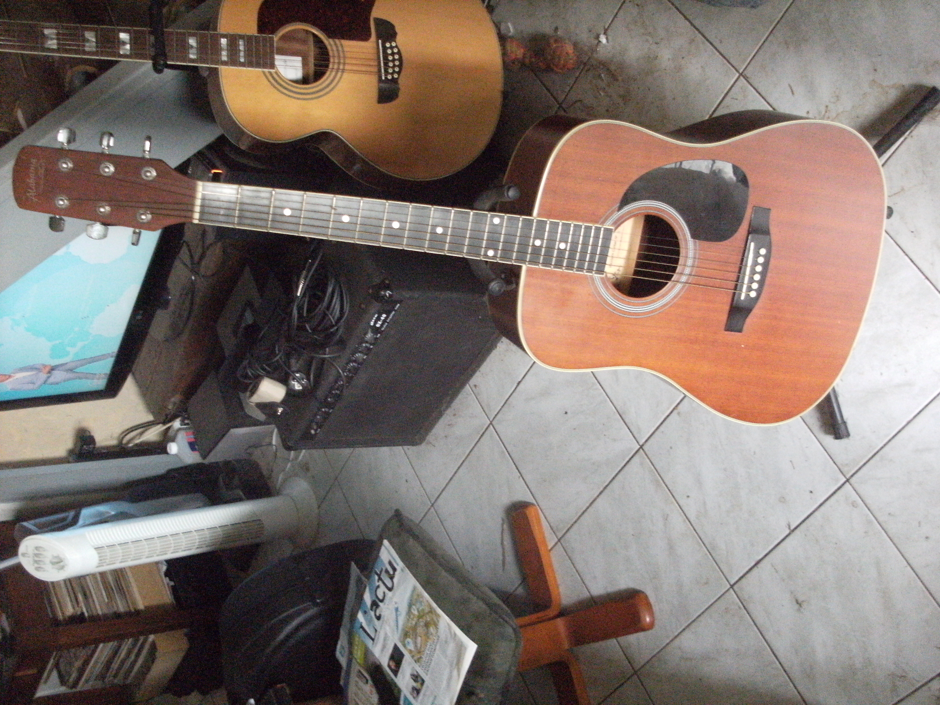 GUITARE FOLK ALABAMA W6641 70 Faye-d'Anjou (49)