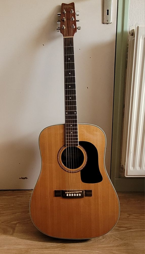 Guitare Folk et sa housse 50 Foug�res (35)