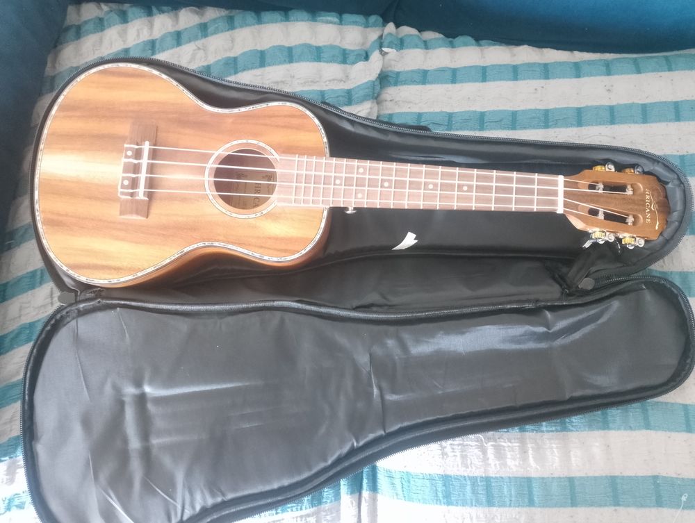 Guitare hricane UK 23 75 Arnouville-l�s-Gonesse (95)