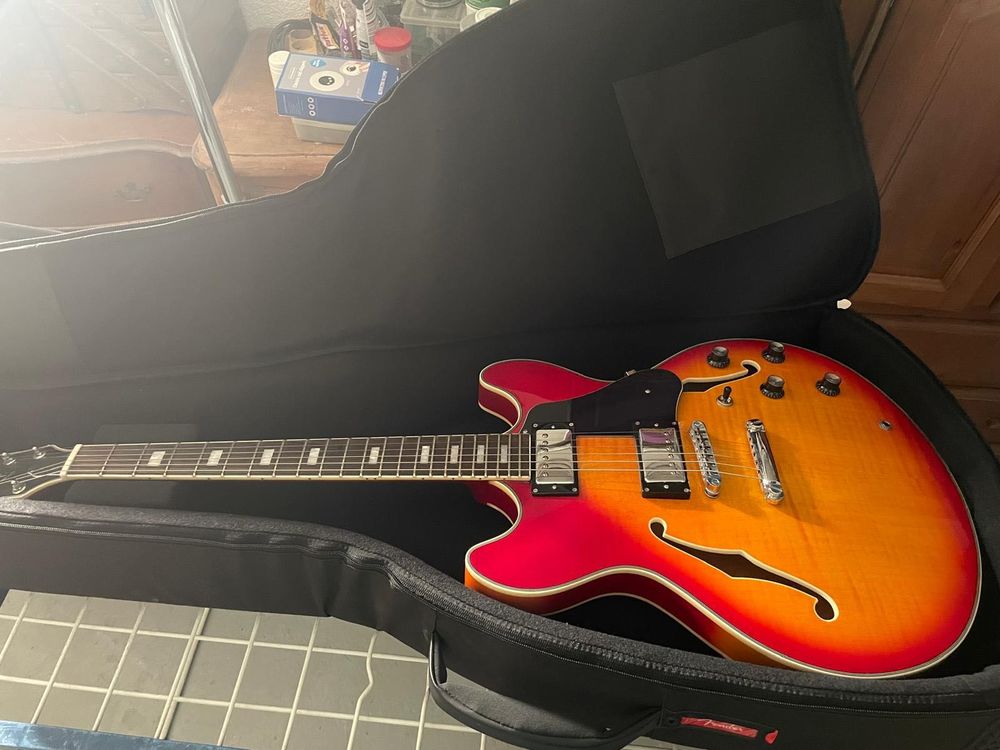 Guitare Jazz 650 Aix-en-Provence (13)