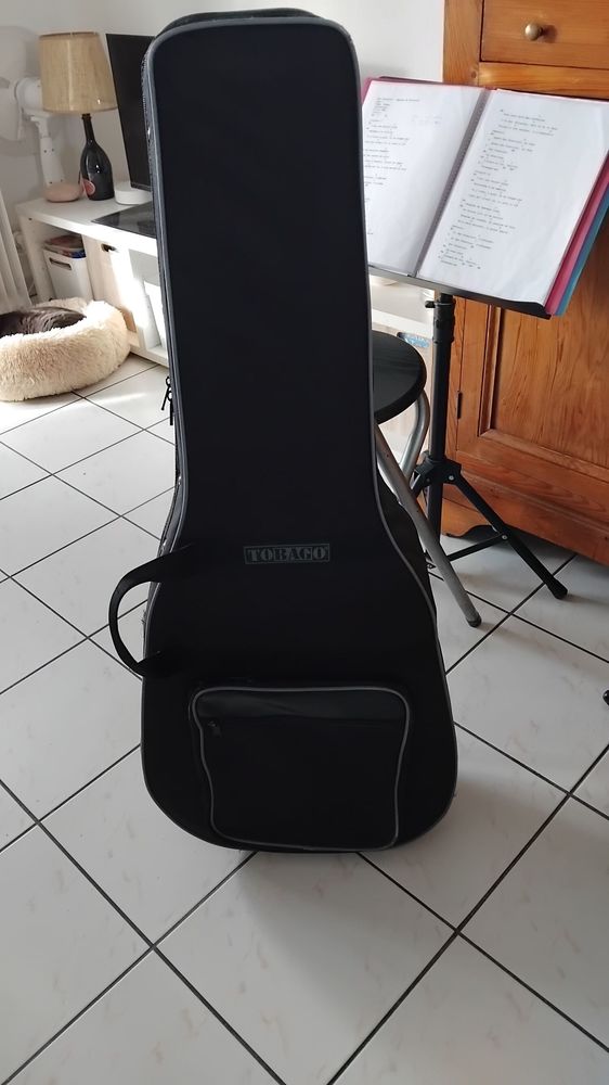 Guitare occasion 300 Tarnos (40)