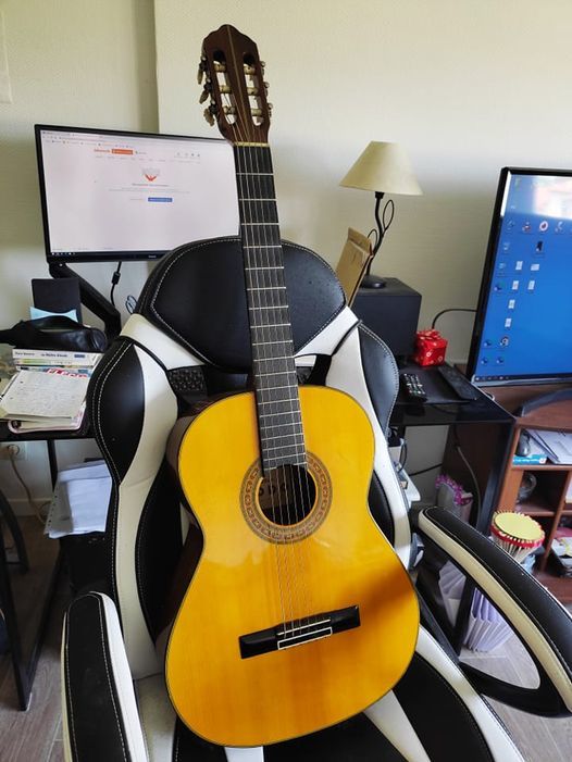 Guitare s�che 6 cordes avec sa housse. 40 Amanvillers (57)