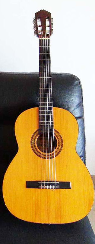 Guitare s�che 30 Folelli (20)