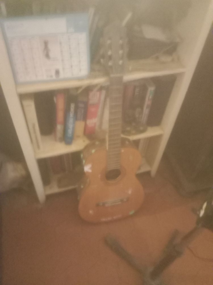 Guitare s�che 50 Valr�as (84)