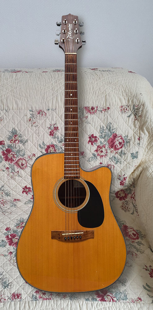 guitare Takamine avec housse de transport 250 Chartres (28)