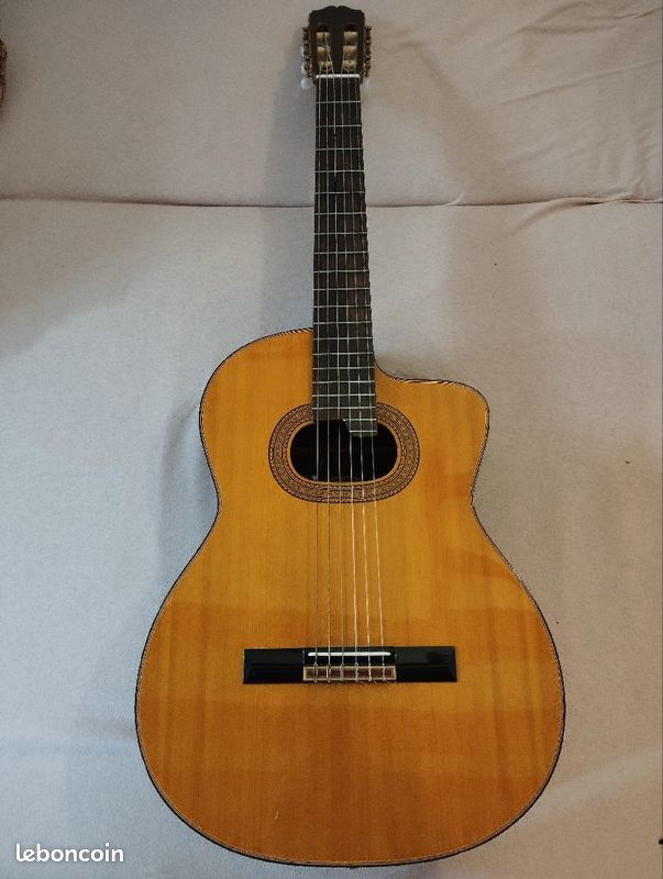 Guitare Takamine E30 650 Paris 20 (75)