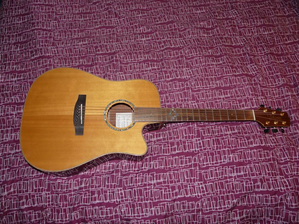 Guitare Takamine 0 Saint-Martin-en-Bresse (71)