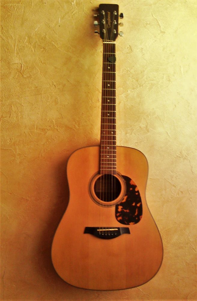  guitare TANGLEWOOD + ETUI 170 La Madeleine (59)