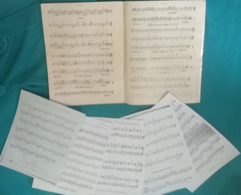 La Guitare Th�orie et pratique 5 Roquefort-les-Pins (06)