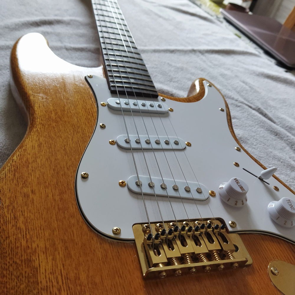 Guitare Type Stratocaster ou échange 0 La Ville-aux-Dames (37)