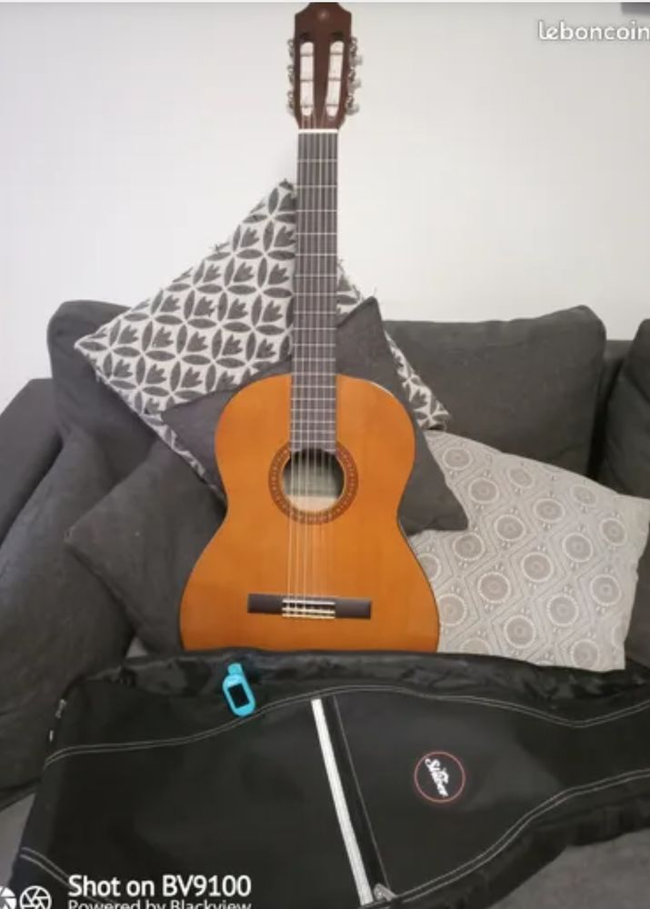 Guitare Yamaha 50 Sa�ne (25)