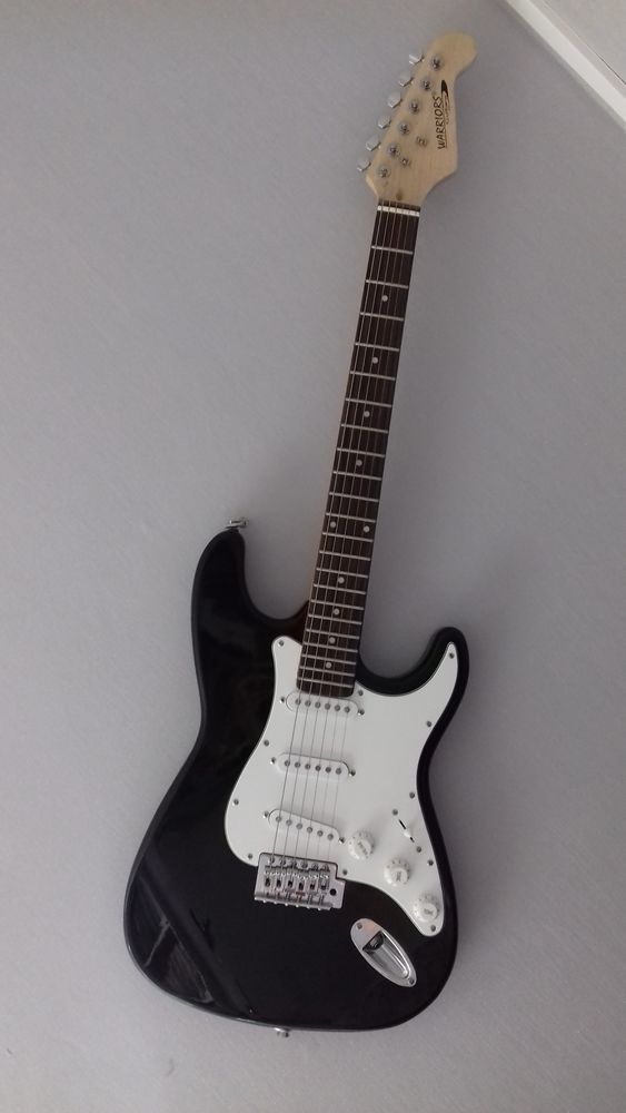 Guitare 120 Yvecrique (76)