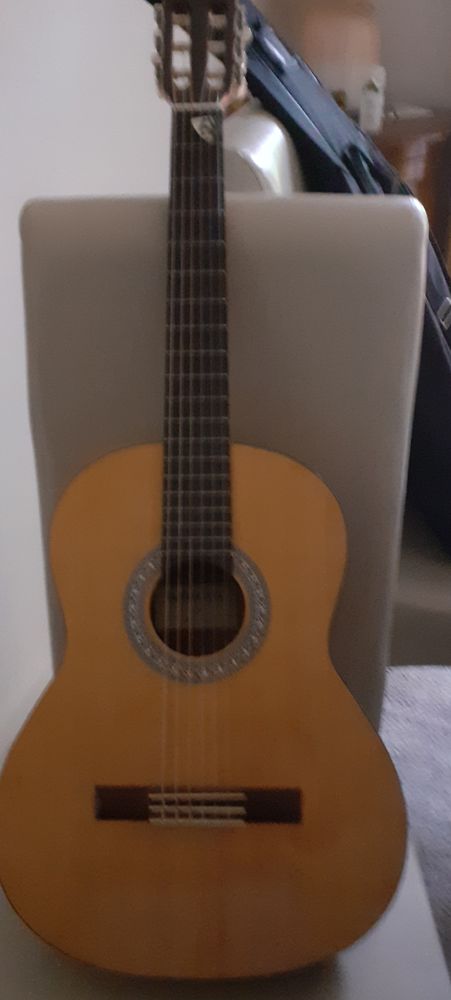 Guitare 105 Besan�on (25)