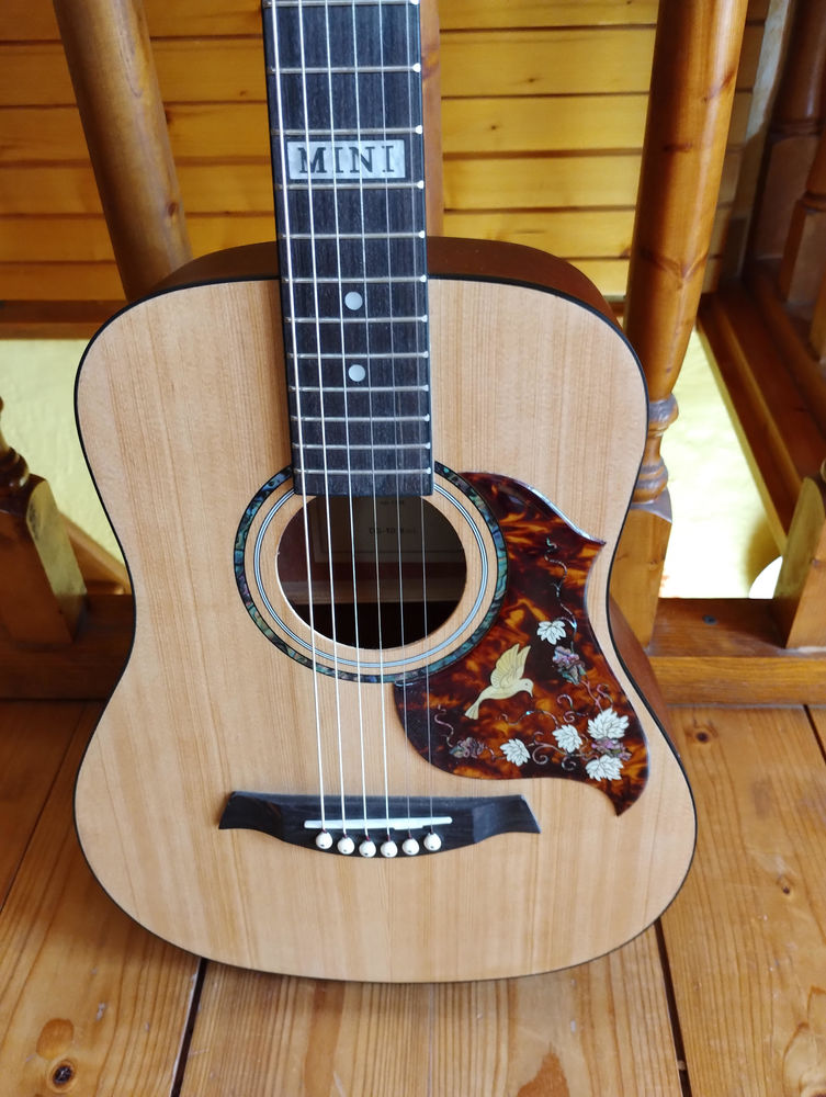 guitare 25 Le Pontet (84)