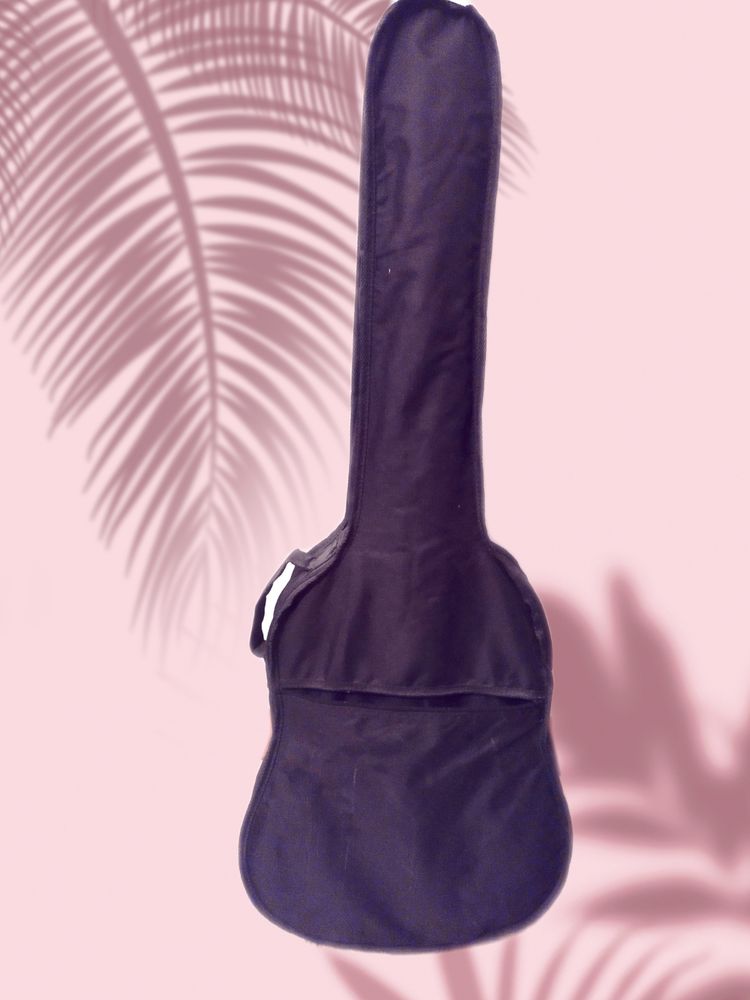 Guitare 50 Domme (24)