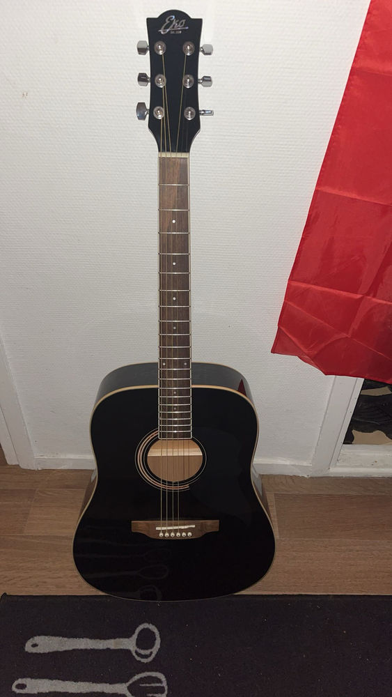guitare 250 Loos (59)