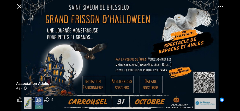 Halloween 0 Saint-Siméon-de-Bressieux (38)