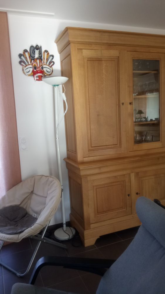 halog�ne sur pied 25 Breuillet (17)