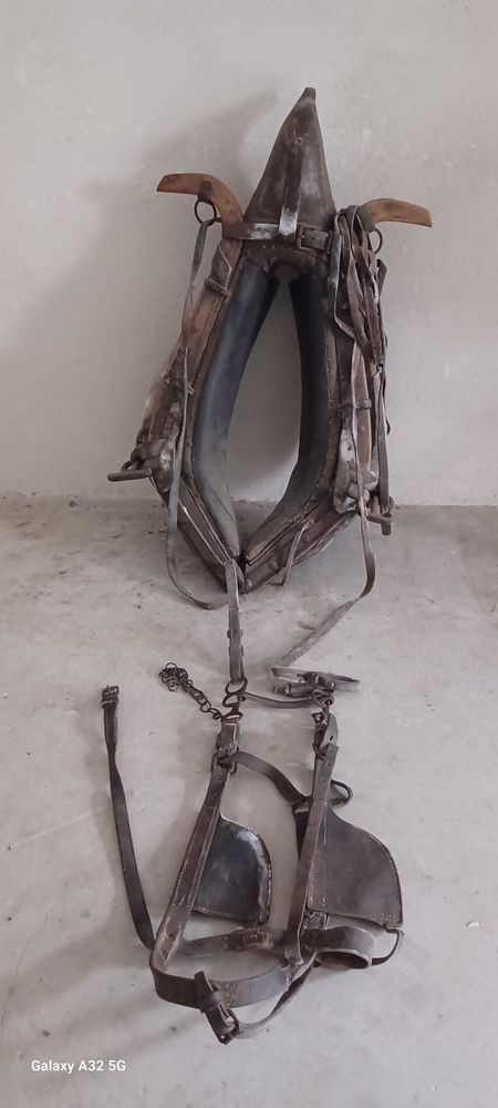 Harnais d'attelage 160 Saint-Mamert-du-Gard (30)