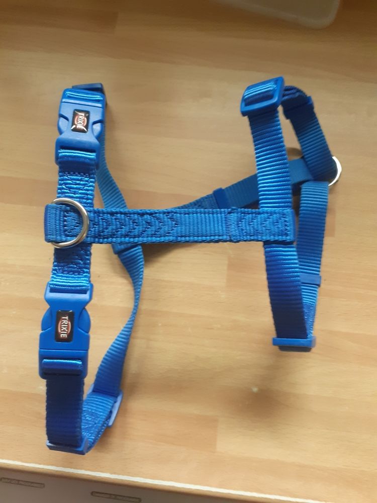 harnais chien 10 Colmar (68)