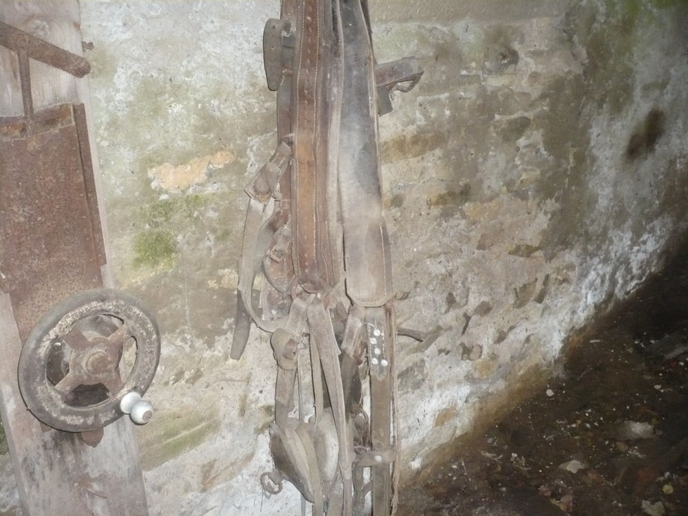 Harnais pour chevaux. 10 Foulcrey (57)