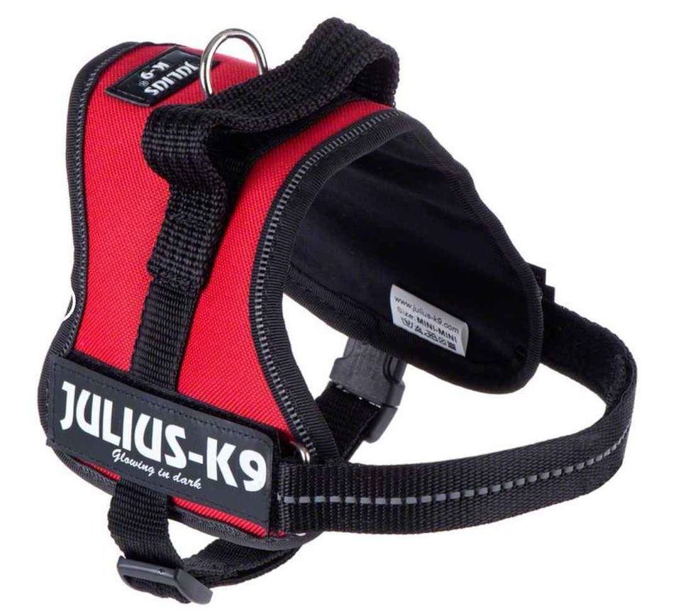 Harnais pour chien 25 Morton (86)