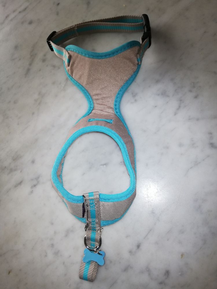 Harnais 4 Marignane (13)