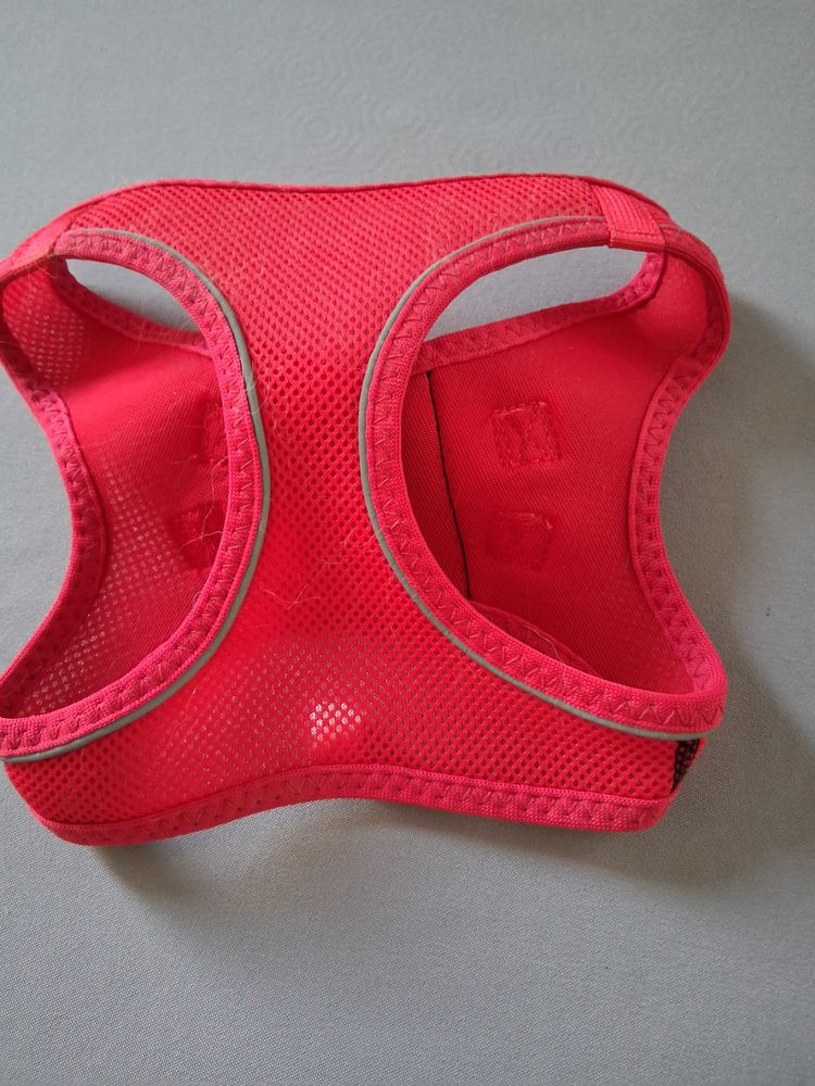 Harnais 20 Toulon (83)