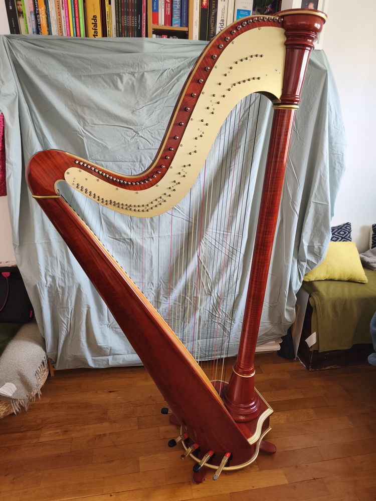 Harpe CamaC Clio 6500 Dijon (21)