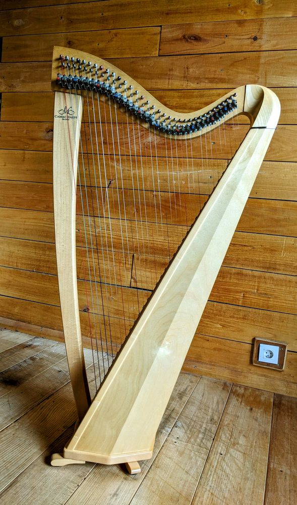 Harpe Camac 34 cordes 2700 Saint-Venant (62)