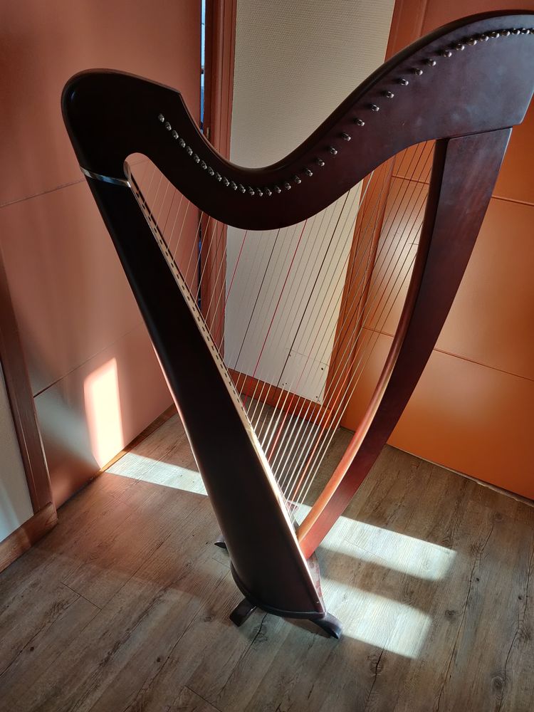 Harpe celtique korrigan+jeu de cordes 2500 Chaligny (54)