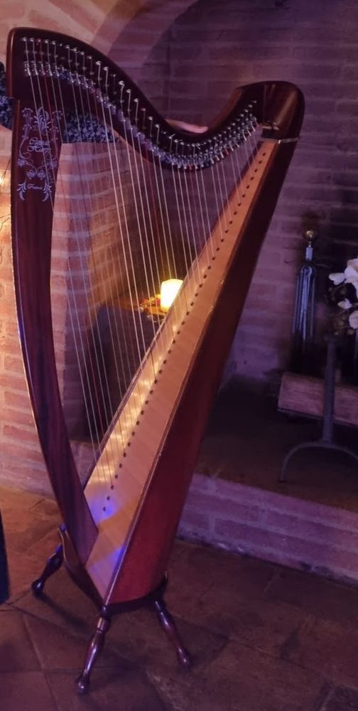Harpe celtique Korrigan 38 cordes 2260 Tournefeuille (31)