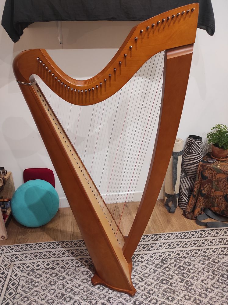 Harpe Isolde CAMAC
2700 Corgnac-sur-l'Isle (24)