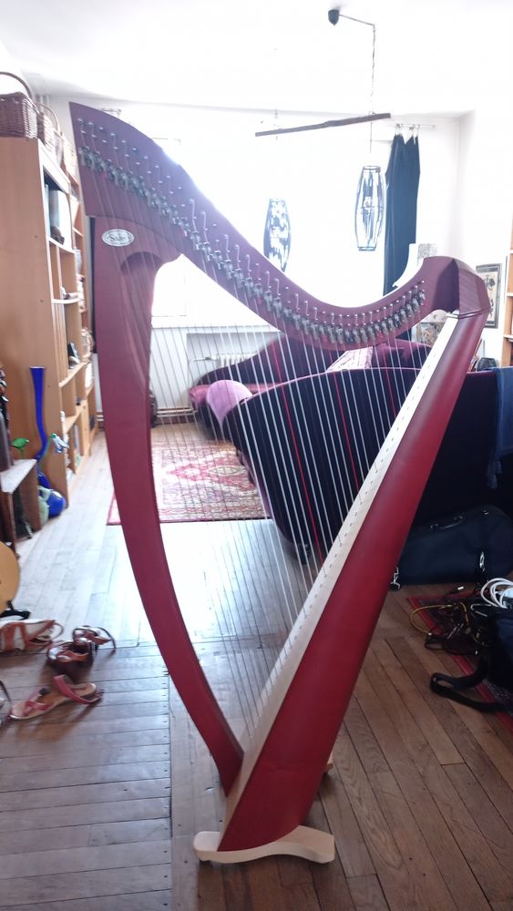 HARPE SALVI TITAN - 38 cordes + Housse de transport 2650 Lille (59)