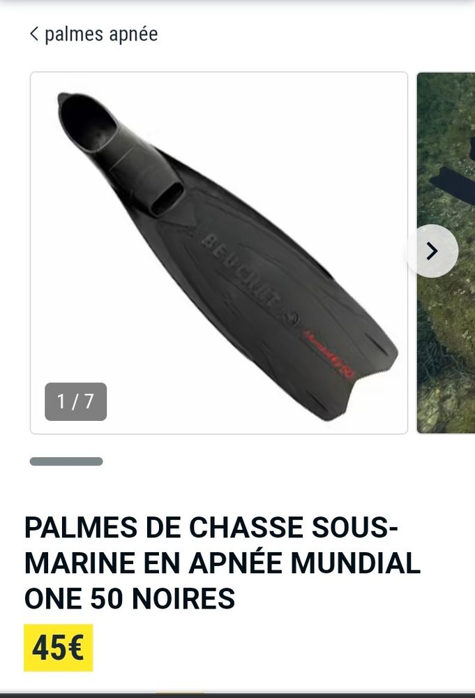 Harpon et palmes de chasse sous marine 120 Agay (83)