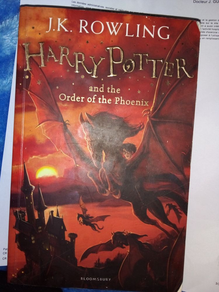 Harry potter 10 Saint-Denis (97)