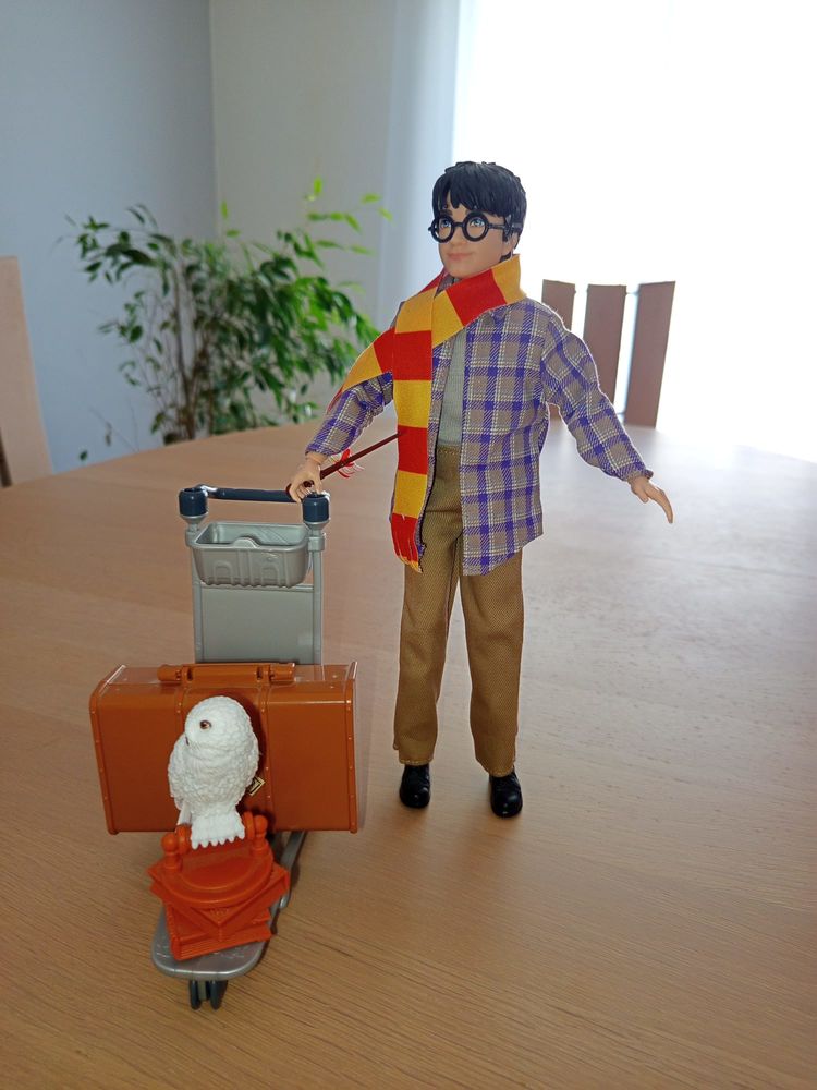 harry Potter 15 Anglet (64)