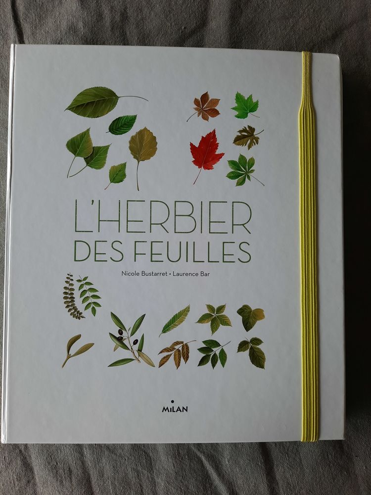 L'herbier des feuilles 9 Saint-Maur-des-Foss�s (94)