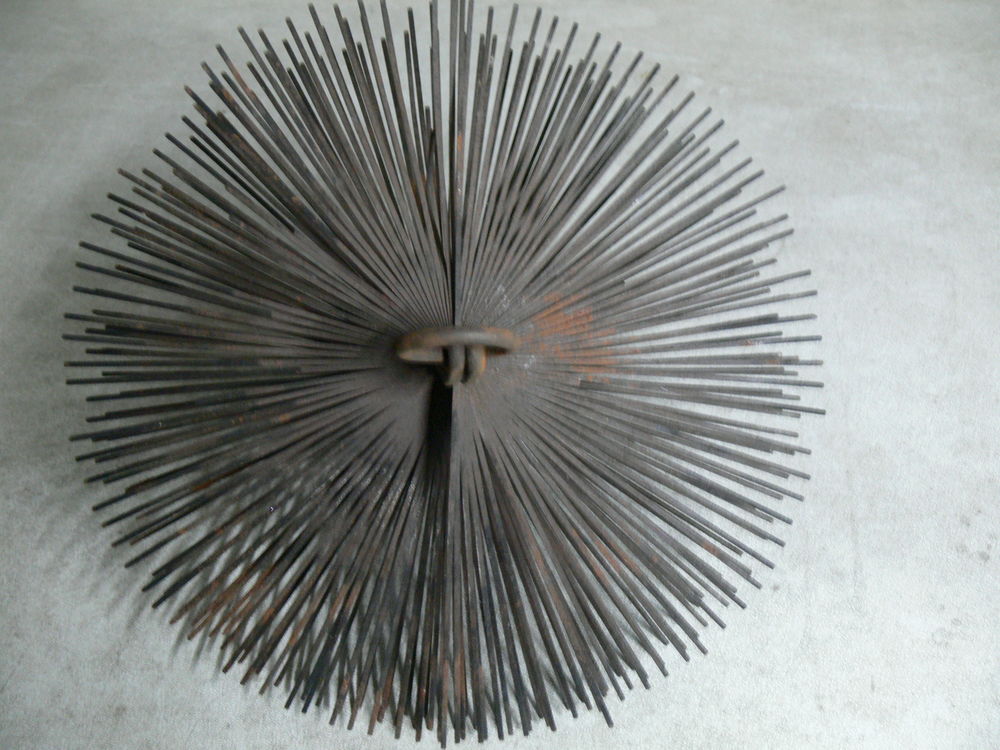 H�risson de ramonage 12 Plougoumelen (56)