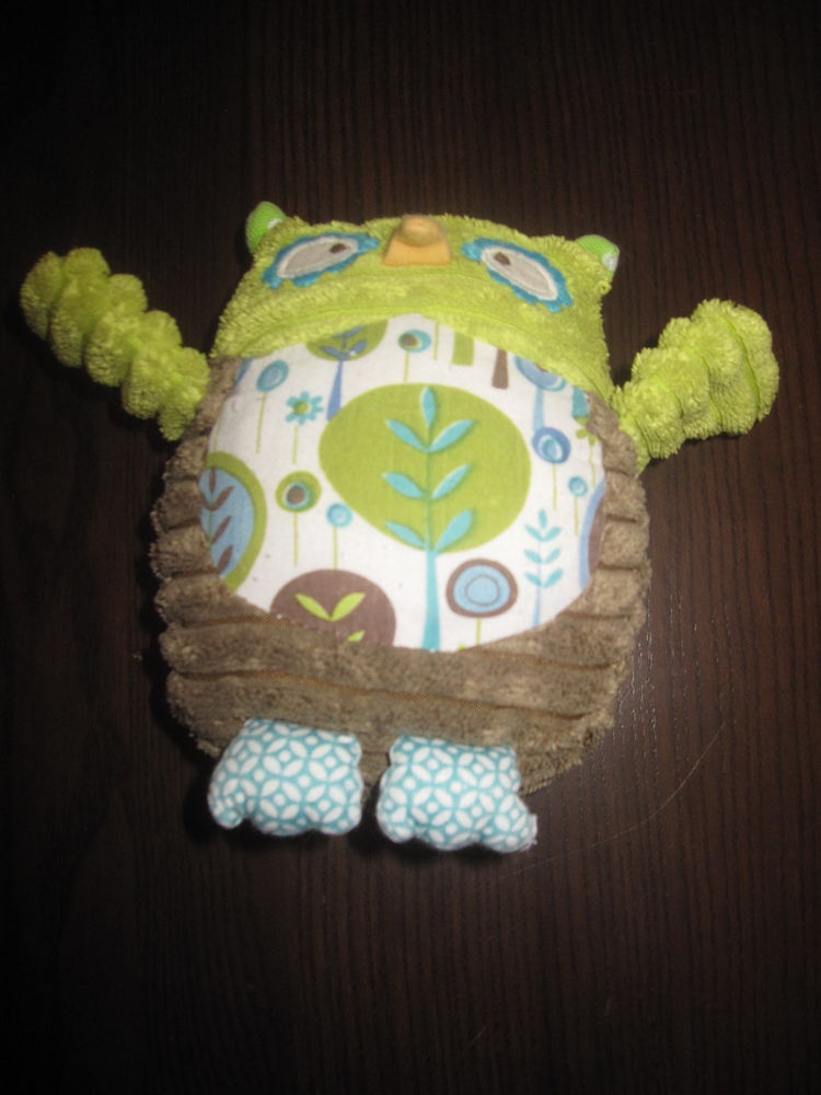 HIbou chouette tissea fly vert marron 10 Saint-Jean-Pla-de-Corts (66)