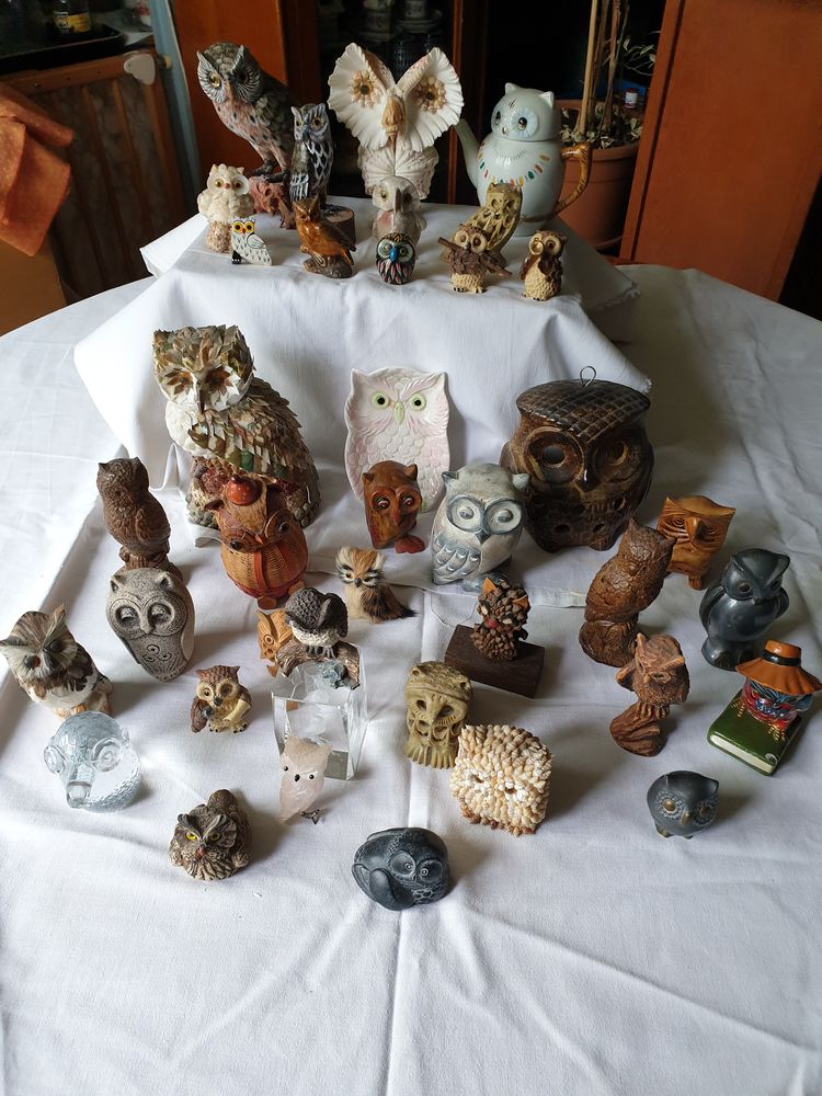 Hiboux 150 Saint-Denis (93)