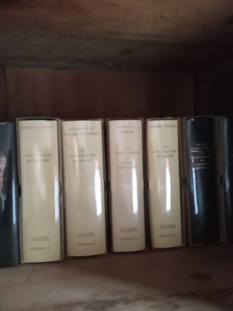 Histoire des grandes civilisations 15 volumes 150 Crest (26)