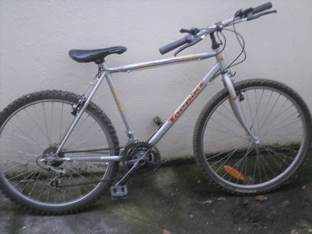 vtt homme + 2 roues 1 Pont-de-Ch�ruy (38)