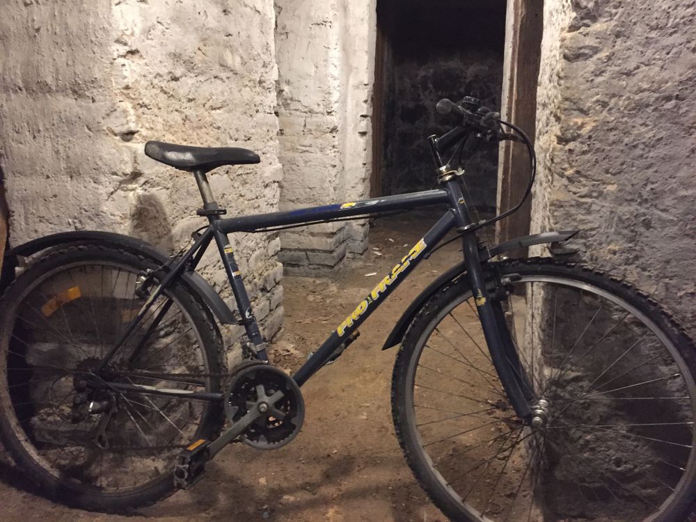 vtt homme 70 Strasbourg (67)