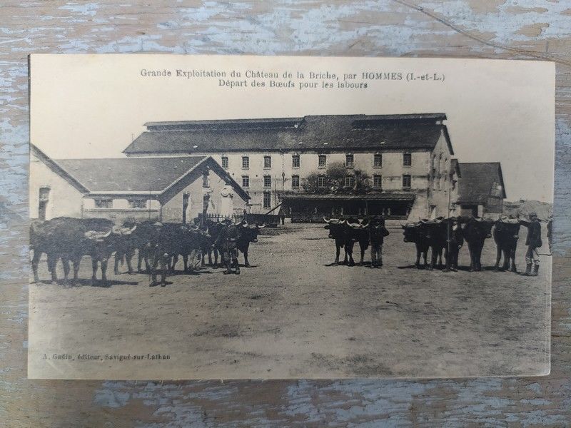 37. CPA HOMMES. Exploitation du Ch�teau de la Briche Boeufs 10 Hommes (37)