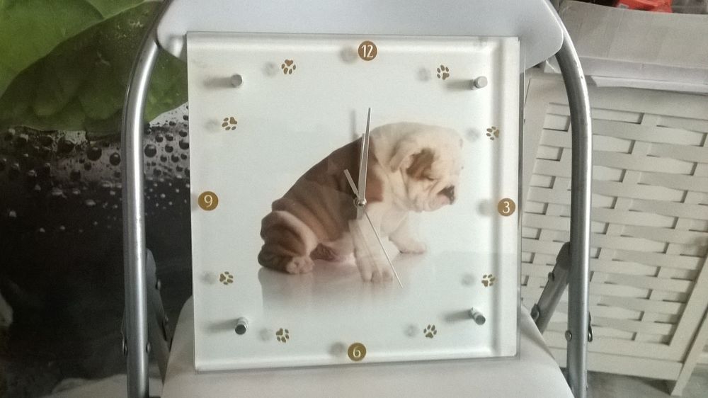 Horloge Carr�e Chiot anglais de bouledogue
Neuve 19 Talange (57)