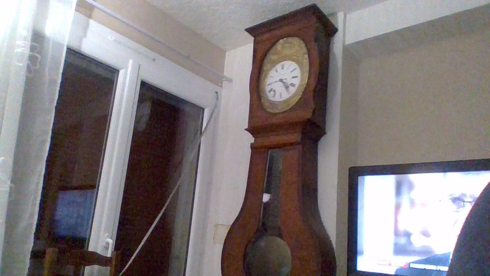 HORLOGE COMTOISE 0 Longvic (21)