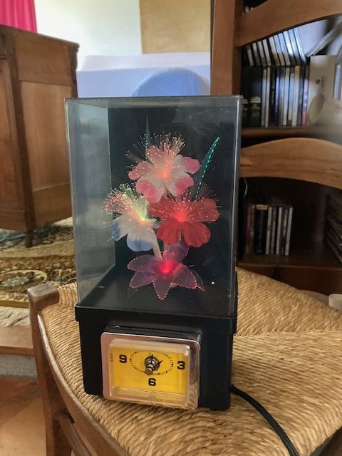 HORLOGE LUMINEUSE 10 Bonrepos-Riquet (31)