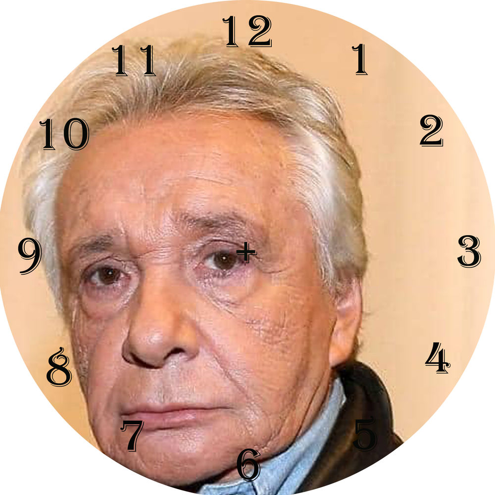 HORLOGE MICHEL SARDOU DIAMETRE 20 CM 
VERRE ET PLASTIQUE 2 29 Loures-Barousse (65)