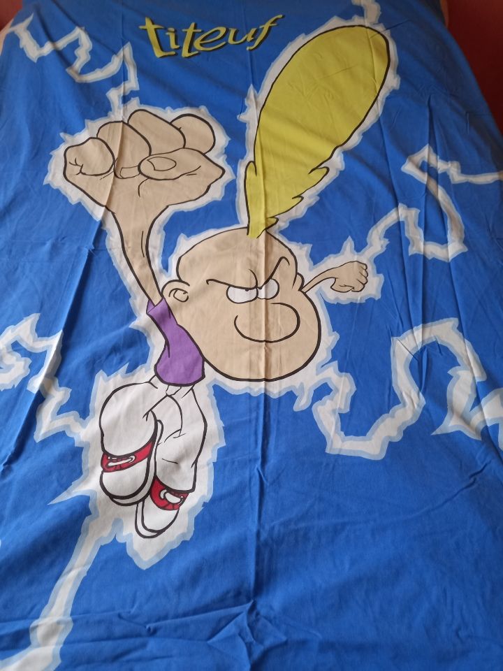 Housse de couette Titeuf lit 1 personne 3 Villiers (86)